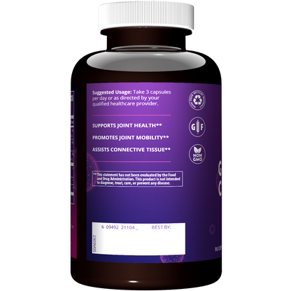 Glucosamine Chondroitin MSM