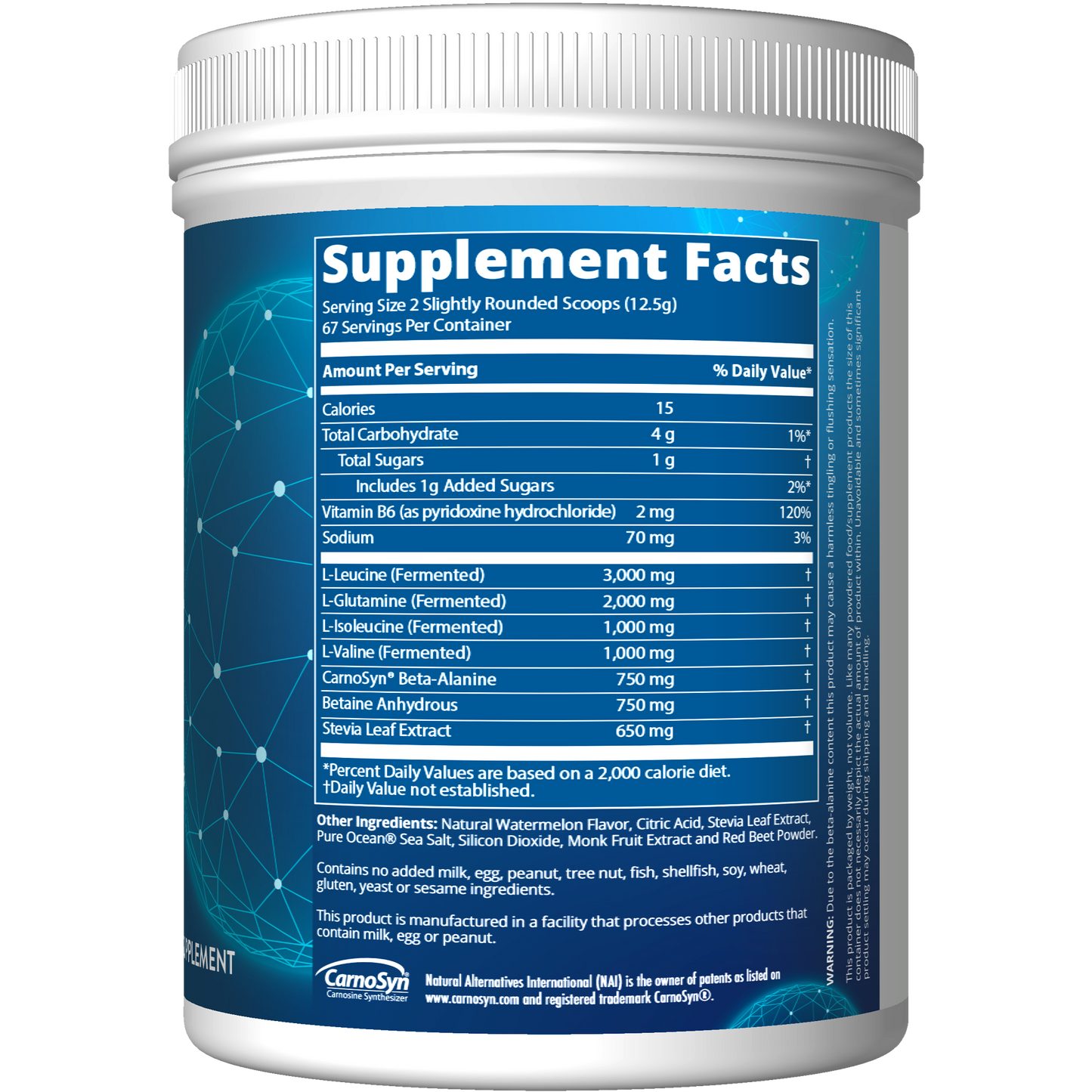 BCAA+G RELOAD™ Watermelon Flavored (840g)