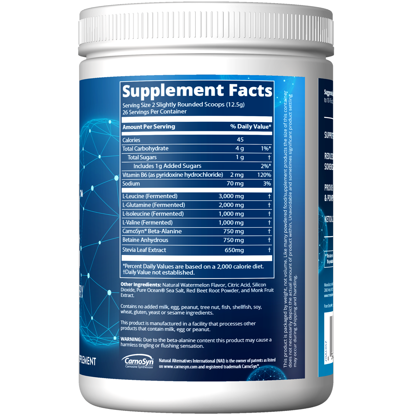 BCAA+G RELOAD™ Watermelon Flavored (330g)