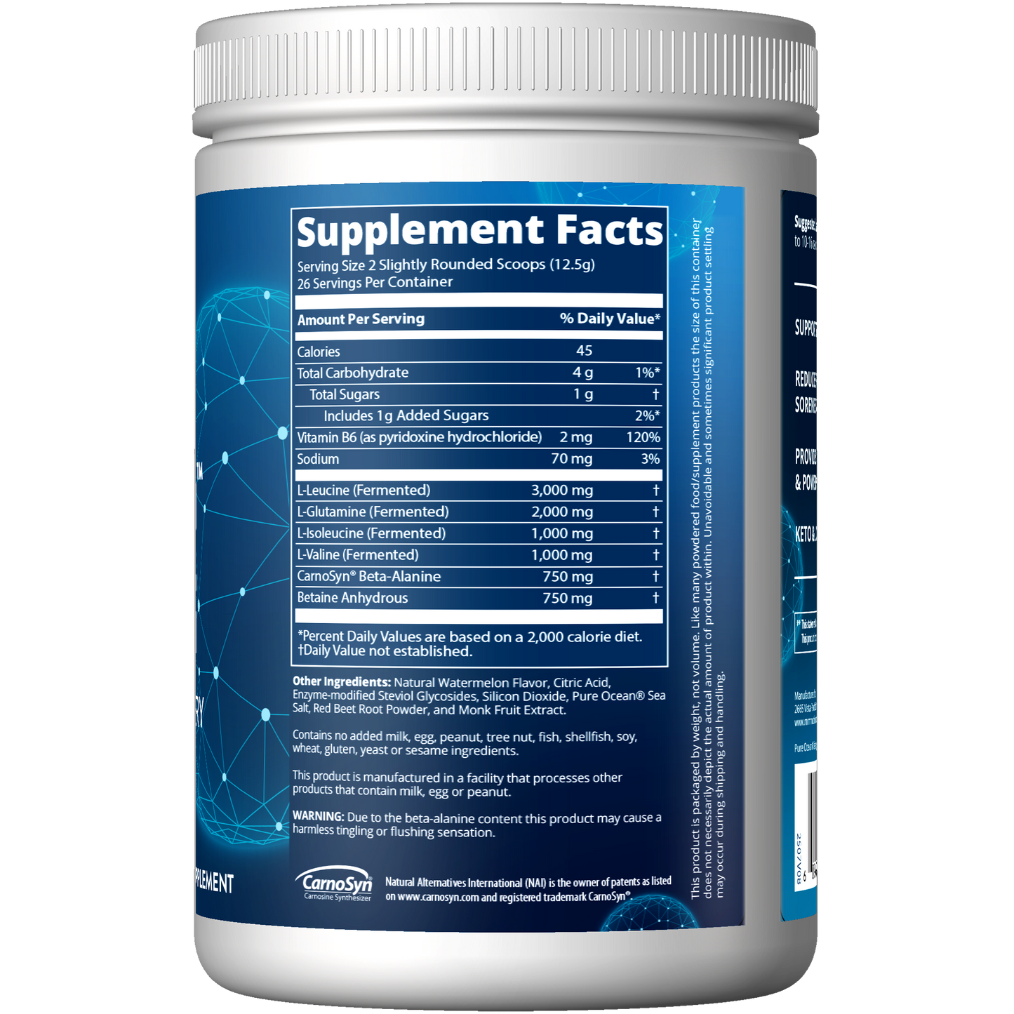 BCAA+G RELOAD™ Watermelon Flavored (330g)