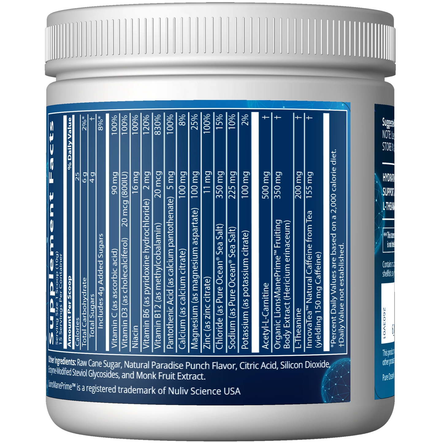 Hydration+ Energy - Paradise Punch Flavored (150g)